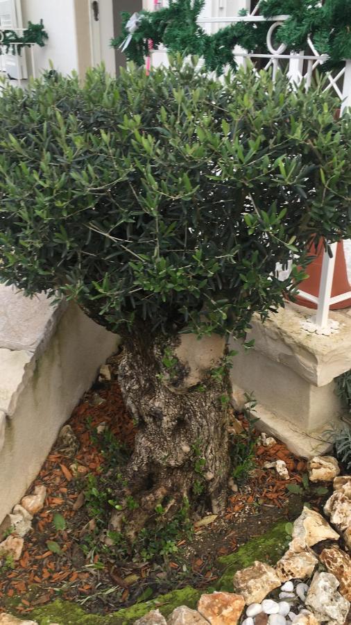 לינה וארוחת בוקר נאפולי Il Casale Di Gio מראה חיצוני תמונה